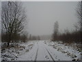 Track through Wharncliffe woods