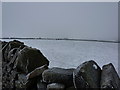 Ponies grazing in the snow