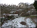 Quarry at Stannington