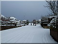 Looking up a snowy Beverley Grove towards some public spirited citizens