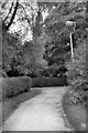 Path To Car Park, Earnshaw Hall Of Residence (Endcliffe Student Village)