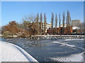 Swanswell Pool