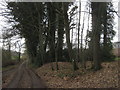 Footpath junction on a byway near Tappington Hall