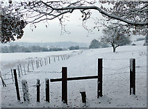 SO9095 : Snow covered farmland near Penn Common, Staffordshire by Roger  Kidd