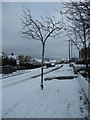 December snow in Solent Road (c)