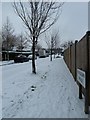 Looking northwards up a snowy Portsdown Avenue