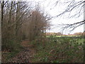 Bridleway near Lodge Lees Farm