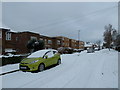 December snow in Solent Road (i)