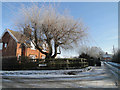 Farm cottages near Crogham Farm