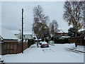 December snow in Solent Road (l)