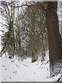 Bridleway to Crockshard Hill