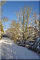 Tiverton : Riverside Path