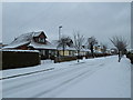 Houses in a snowy Central Road