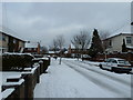 Approaching the junction of a snowy Central Road and Lealand Road