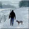 SO9095 : Walking the dog near Penn Common, Staffordshire by Roger  D Kidd