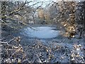 Pond near Pearse Hay Farm