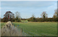 2010 : Fields north of the A432 at Colt