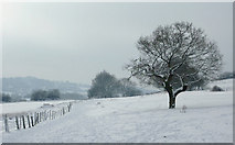 SO9095 : Snow covered pasture near Penn Common, Staffordshire by Roger  Kidd