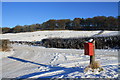 Letterbox at Holmhead