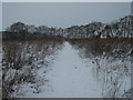 Footpath to Tickenhurst Shave (2)