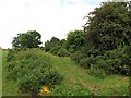 Old roadway, Lodge Farm