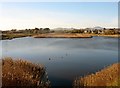 Afon Rhyd-hir from Y Cob/ The Embankment