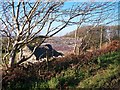 Field barns at Meillionnydd