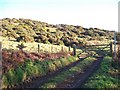 Public footpath leading on to Mynydd Rhiw