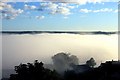 Morning river mist