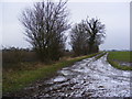 TM3982 : Field entrance off Butts Road by Geographer