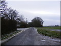 TM3981 : Butts Road, Cox Common by Geographer