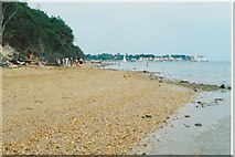 SZ0287 : South shore at Brownsea Island with Sandbanks Peninsula in background by peter robinson