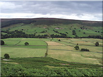SE6197 : Bransdale  on  a  perfect  day by Martin Dawes