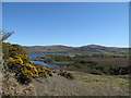 NM4239 : Moorland with gorse and bluebells by Trevor Littlewood