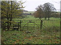 Iron Gate Mongewell Park