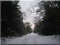 Ossington Hall gates in the snow (2)