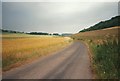 Country Lane running through Knatts Valley