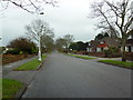 Lamppost in Parklands Avenue