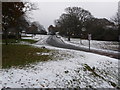 Northbourne: looking up Western Avenue