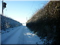 Thirtle Bridge Lane, Rimswell