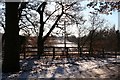 Kings Wood in the snow looking South 