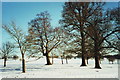 Snow covered parkland, Woburn