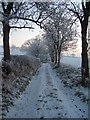 Bridleway on the Roman Road, Shelderton to Leintwardine.