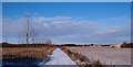 Bridleway at Little Hutton