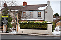 Vacant house, Belfast  (3)