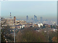 View from Horniman Gardens