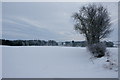 Snowy fields east of Airlie