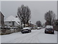 Winton: Eldon Road in snow