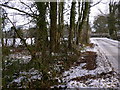 Sotherington Lane looking towards Blackmoor