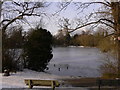 Frozen lake at Alton